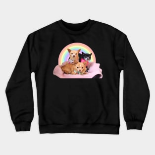 Three Chihuahuas in a rainbow basket Crewneck Sweatshirt